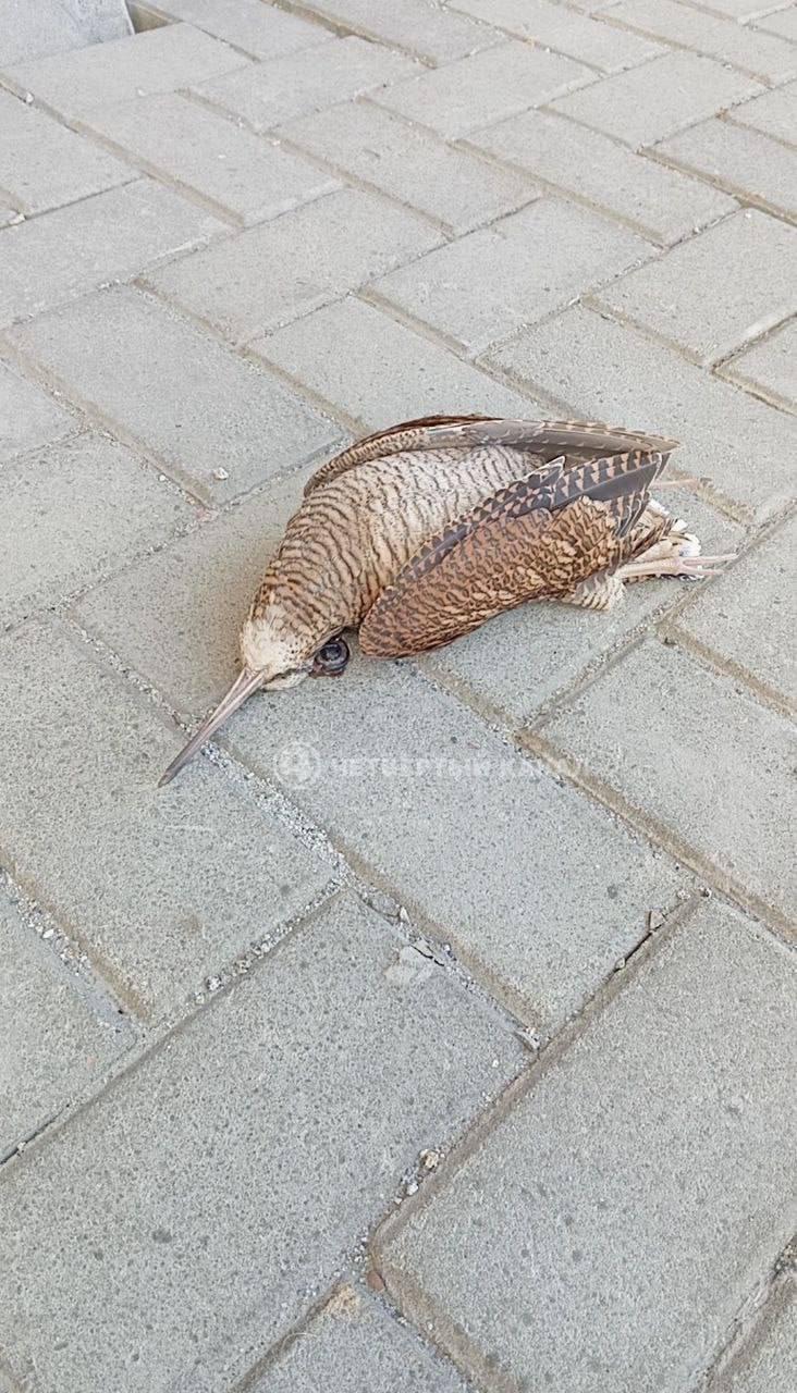 В Екатеринбурге у метро 