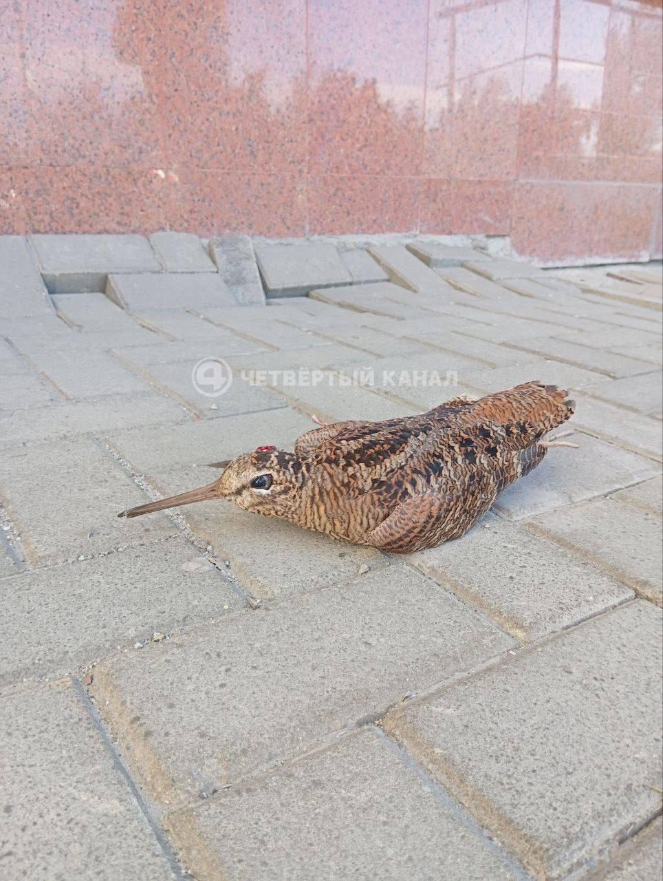 В Екатеринбурге у метро 