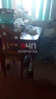 На Камчатке произошло землетрясение магнитудой 7,7. Эпицентр — в 123 км от Петропавловска-Камчатского. Жителей предупредили об угрозе цунами.