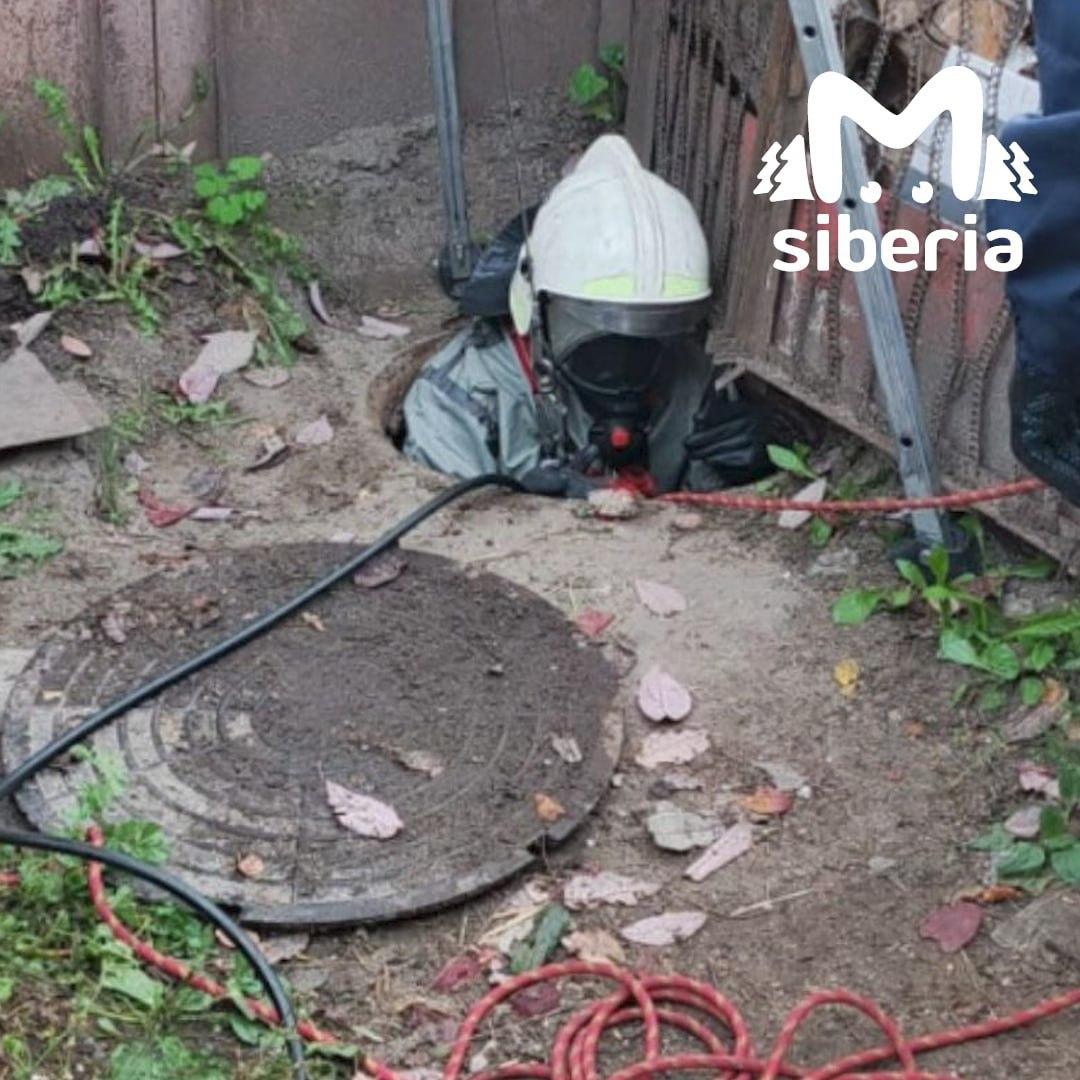 Собака провалилась в выгребную яму в Новосибирске. Хвостатая стала жертвой...