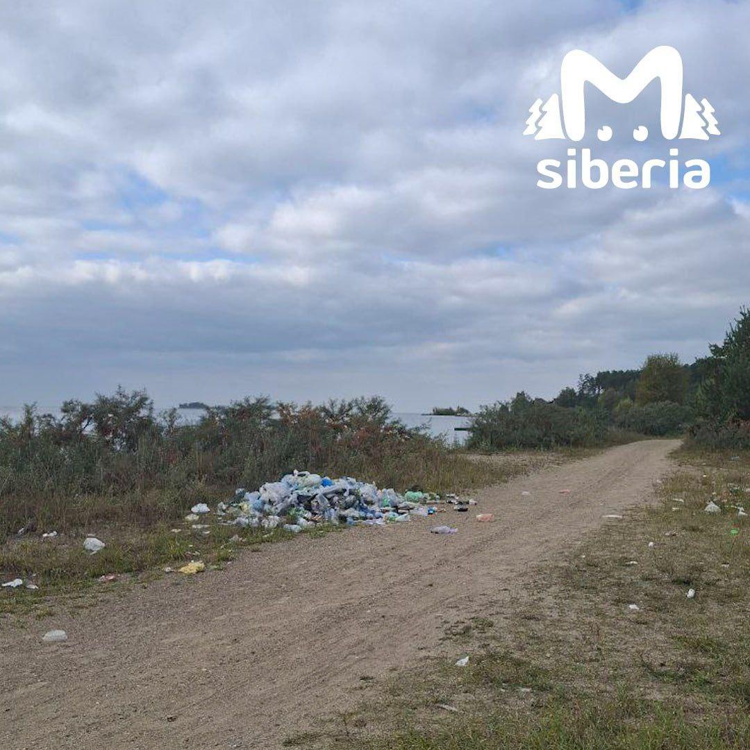 Новосибирцы пожаловались на замусоренный пляж Обского моря. Песок утыкан...