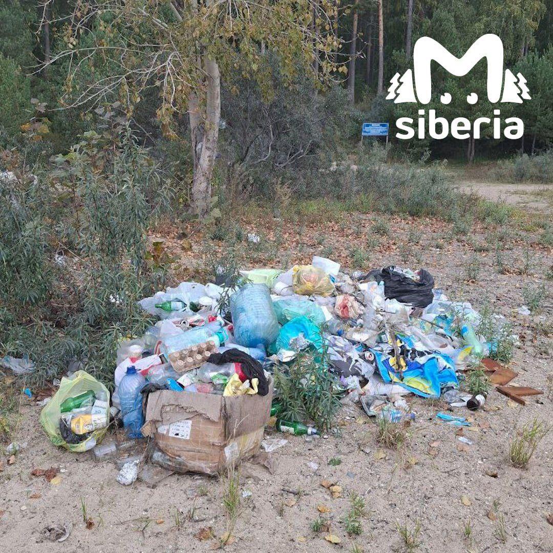 Новосибирцы пожаловались на замусоренный пляж Обского моря. Песок утыкан...