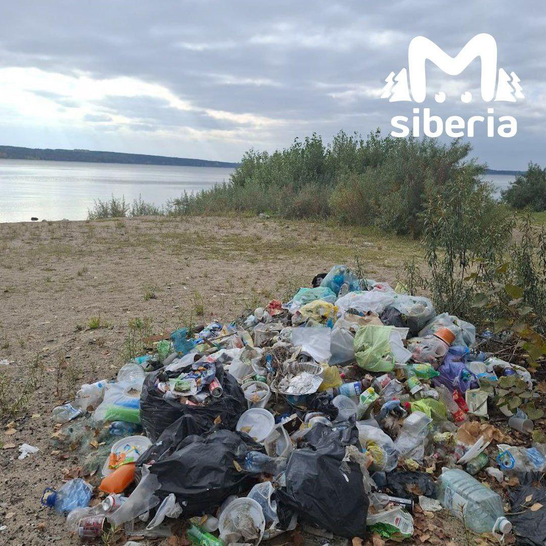 Новосибирцы пожаловались на замусоренный пляж Обского моря. Песок утыкан...