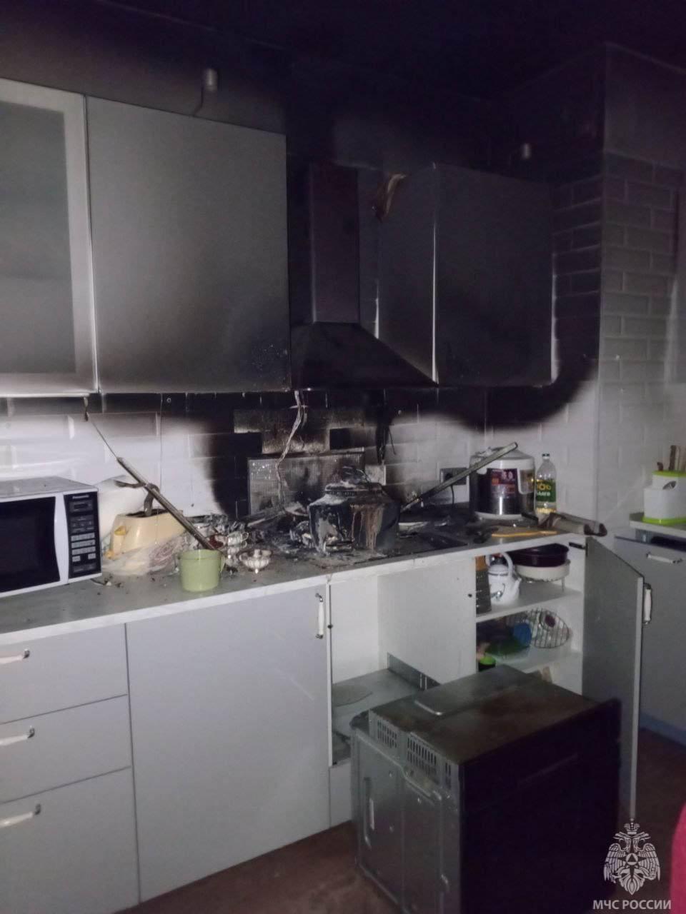 Кот посреди ночи чуть не спалил всю квартиру вместе с жильцами в Петербурге