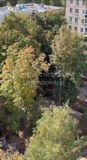 Рабочие устроили массовую драку на улице Академика Комарова из-за траншеи —...