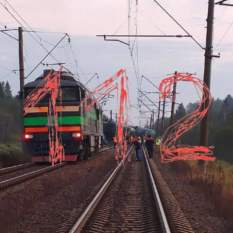 В Лужском районе на перегоне Строганово — Мшинская сошли с рельсов три вагона порожнего товарного состава.
