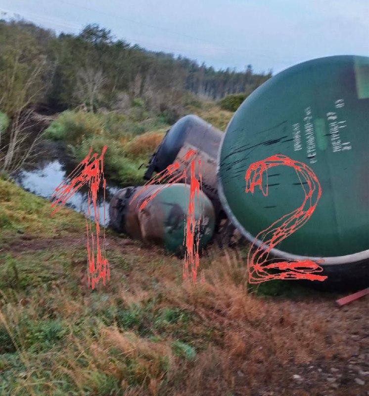В Лужском районе на перегоне Строганово — Мшинская сошли с рельсов три вагона порожнего товарного состава.