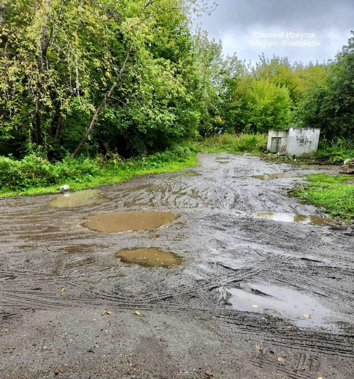 Комфортная городская среда. Добраться до мусорной площадки в дождливую погоду...