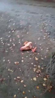 В Челябинской области завелась банда скинхедов-нацистов, которые поджигают...