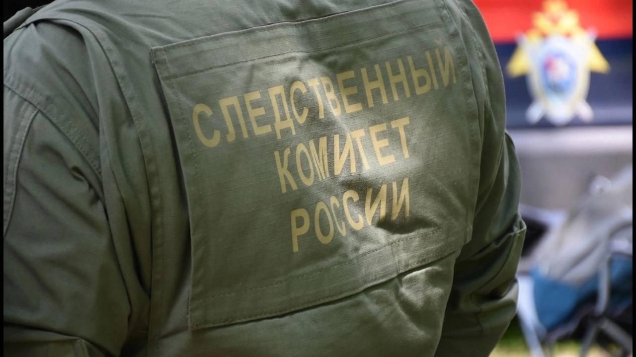 В Республике Хакасия заключен под стражу местный житель, обвиняемый в распространении детской порнографии