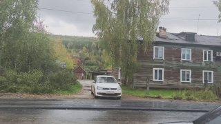 Медведя, бегавшего по Богучанам, застрелили