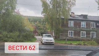 В Богучанах заметили медведя.