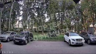 В Подмосковье маньяк пытался изнасиловать девушку в подъезде