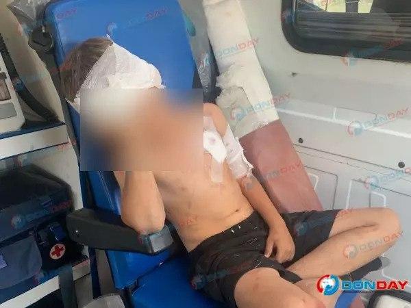 Третьеклассник чуть не стал жертвой домашнего волка, к которому пошёл познакомиться вместе с друзьями.