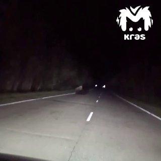 Медвежья семья вышла на трассу в Казачинском районе. Косолапые засветились...