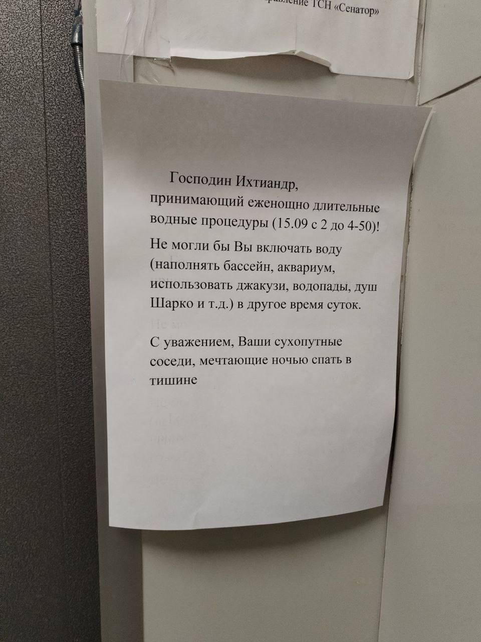 В новых домах слышимость такая, что даже ночное купание в ванной мешает...