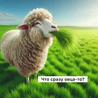 В России женщину обязали заплатить 20 тысяч рублей штрафа за то, что она во...