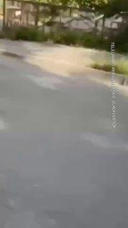 В погоне за лайками: молодые гонщики спровоцировали ДТП, снимая ролик для TikTok