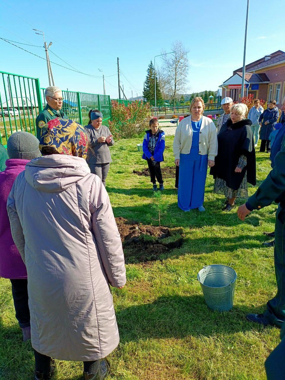 В Хакасии открыли памятную аллею