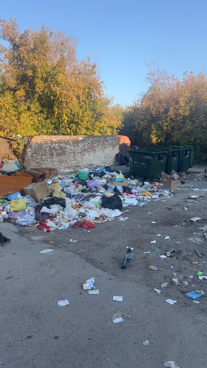 На Первомайской, 100 мусоровозы забирают только то, что в баках Каким образом...