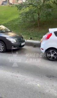 Парочка занялась сексом прямо в центре Киева.