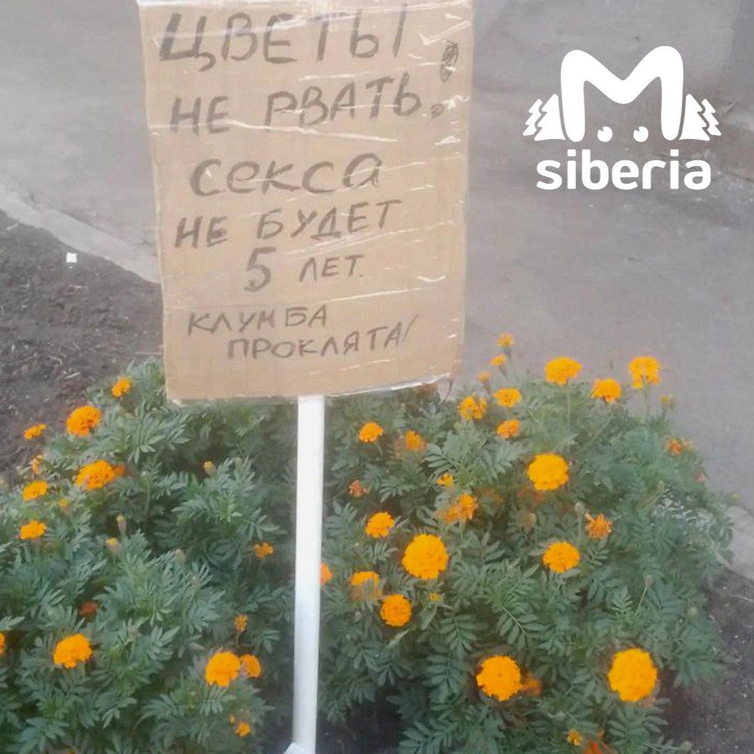 Проклятая клумба, лишающая людей секса, появилась в Новосибирске. Садоводы...