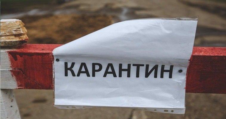 В деревне Уроп Беловского округа выявлен случай бешенства среди животных....