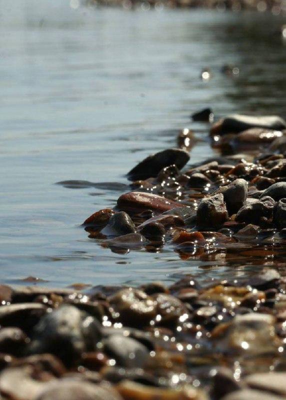 В Канске женщина упала с сапборда на реке и едва не утонула В Канске...