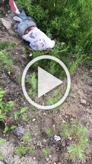 Среди погибших в Благовещенске – подростки и женщина средних лет.