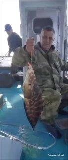 🐟 Рыбаки из Владивостока вытащили из залива Петра Великого глубоководную рыбу-слизня (липариса) с выпученными глазами и без зубов