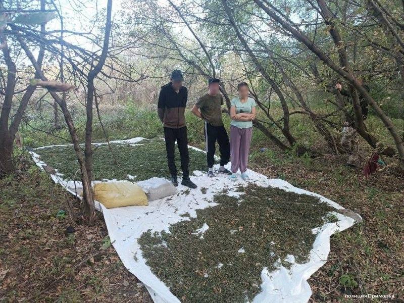😨 Более 20 кг марихуаны изъяла полиция у мужчины в лесу под селом Петровичи