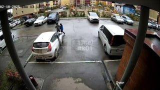 Парочка бросила маленьких котят в Иркутске. Неизвестные оставили крох в...