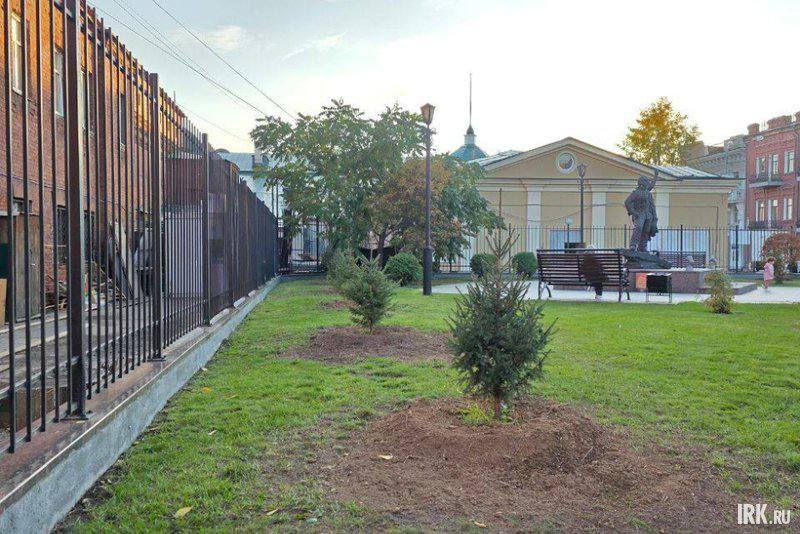 В иркутском сквере у филармонии заменили не прижившиеся ели на новые