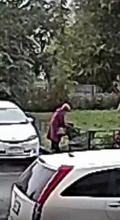 В соседнем Новосибирске женщина бросила овчарку, и та всю ночь под дождём...