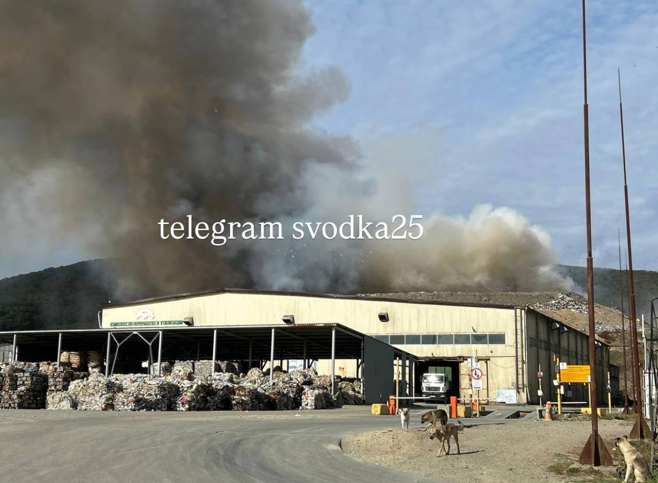 Во Владивостоке с самого утра полыхает свалка в бухте Горностай Нам пишут,...