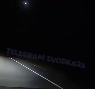 В Приморье на трассе под Уссурийском тигр попытался броситься на автомобиль...