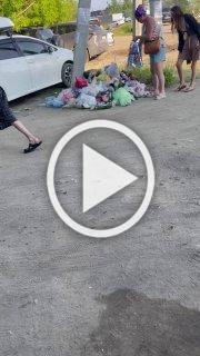 Заельцовский пляж. Хрюшки устроили свалку. 