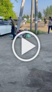 Заельцовский пляж. Хрюшки устроили свалку. 