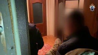 Следственный комитет по Красноярскому краю и Республике Хакасия опубликовал видео задержания Владимира Саара