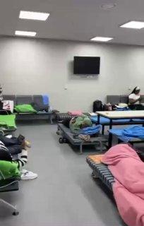 Жительница Петербурга Ульяна потеряла отпуск в Корее из-за строгого допроса в...
