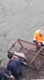Собаку заперли в заваренной клетке и бросили в воду в Ленинск-Кузнецком округе