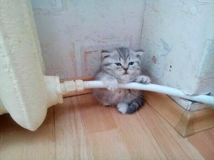 🗣В Приморье начали давать отопление — во Владивостоке его можно ожидать в...