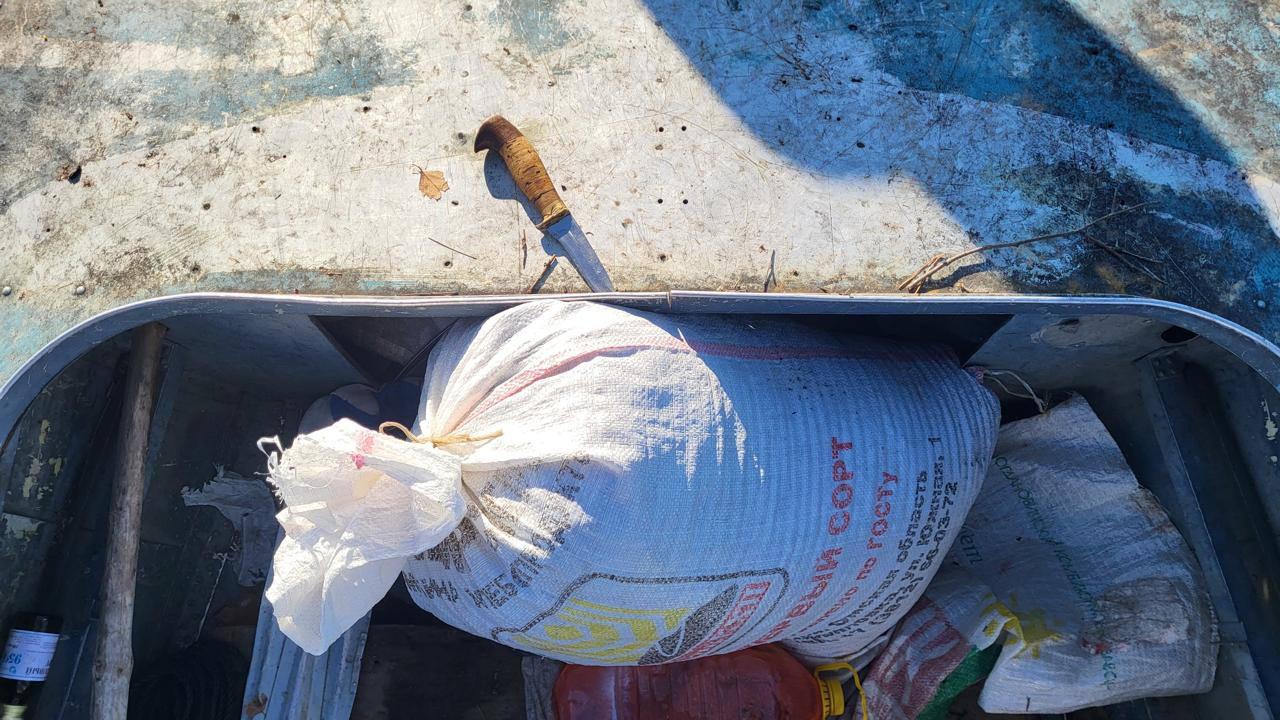 Мужчина погиб во время сбора клюквы у озера Тумба