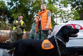 Почти 400 человек пропали в Петербурге и Ленобласти за сентябрь.