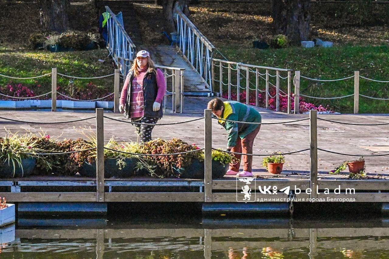 Белгород готовит парки к зиме: начаты сезонные работы в парке Победы.