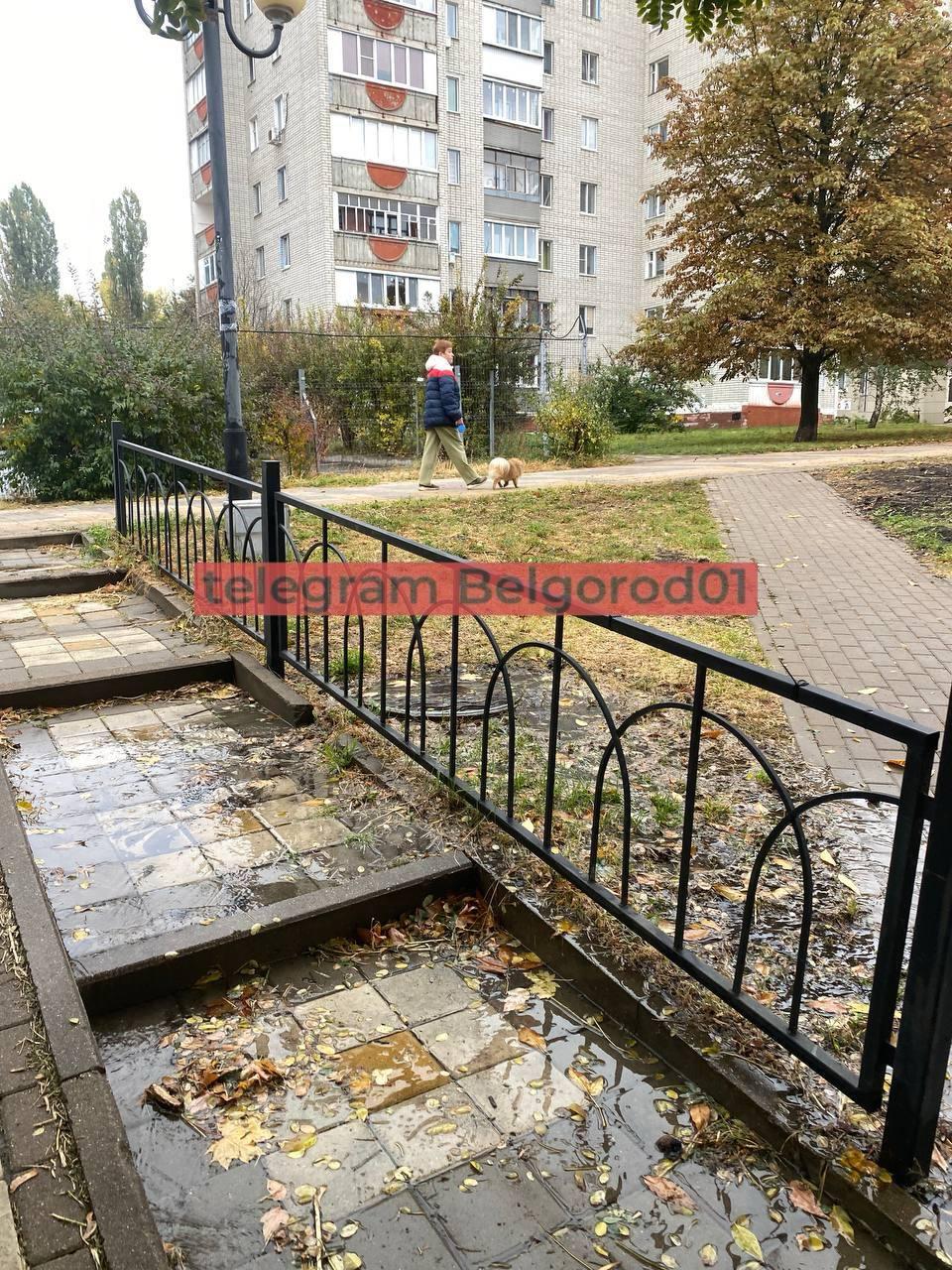 На ул. Костюкова третий день течёт вода из люка между домами №8 и №14