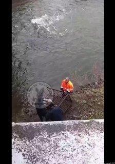 Появились подробности жестокого обращения с собакой. Сначала неизвестные...