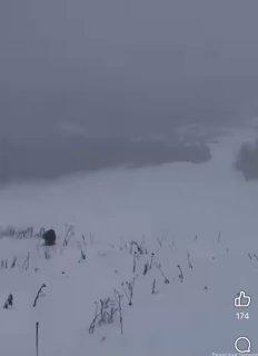 Косить снег заставили рабочих на Алтае