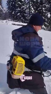 Косить снег заставили рабочих на Алтае