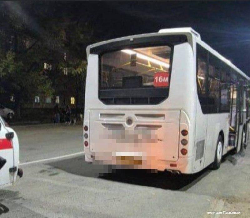 ❗️Подростки распылили перцовый баллончик в Артеме в ответ на замечание водителя